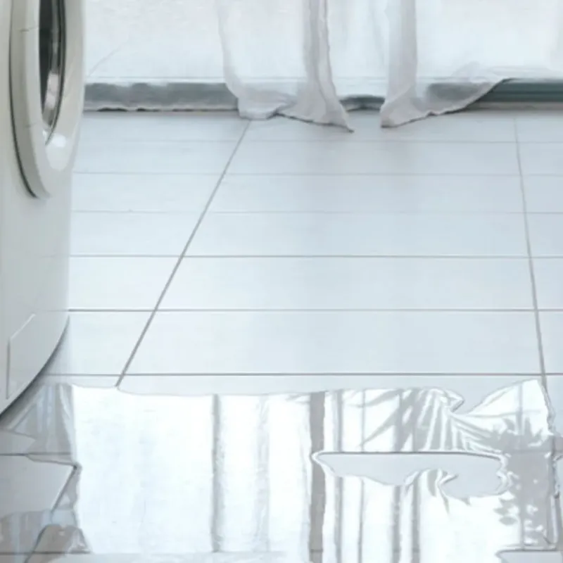 Appliance Leak Cleanup in Kent County, TX