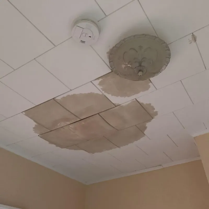 Ceiling Water Damage Repair in Kent County, TX